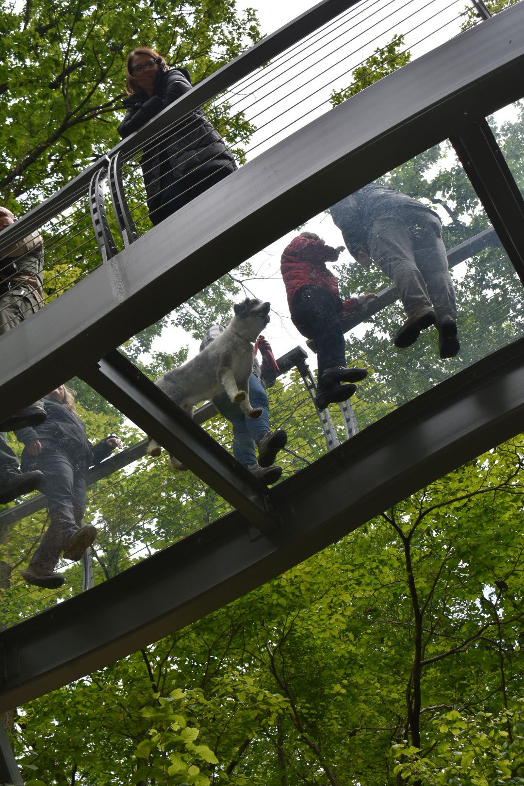 structural-glass-floors