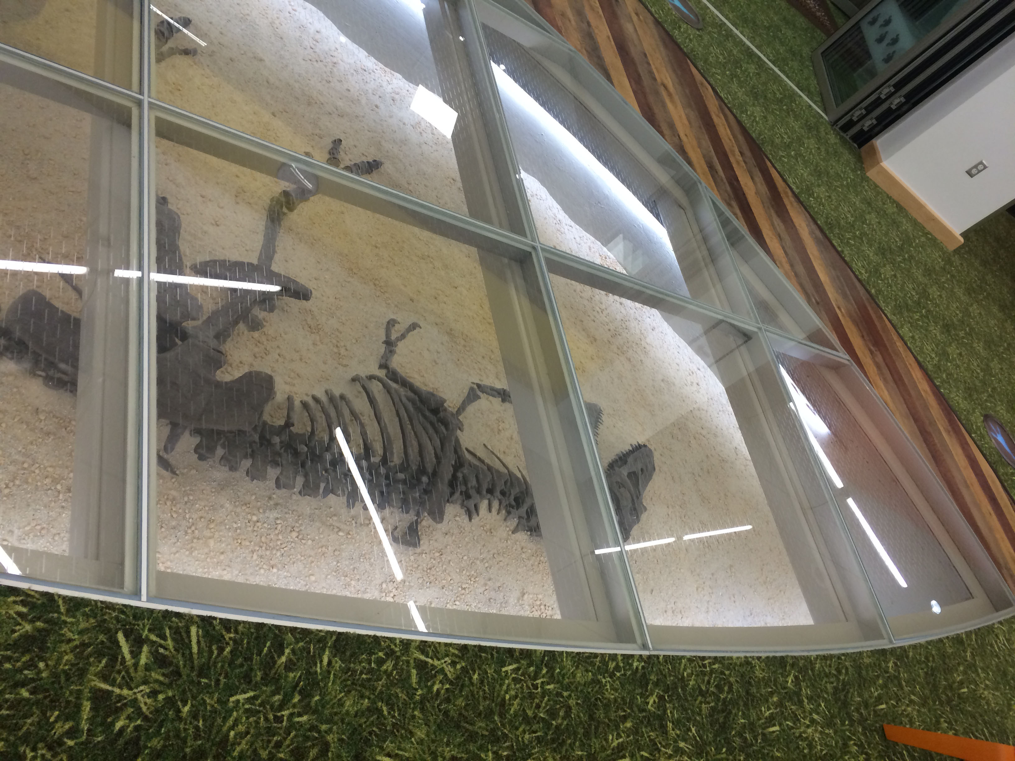 transparent-glass-floor