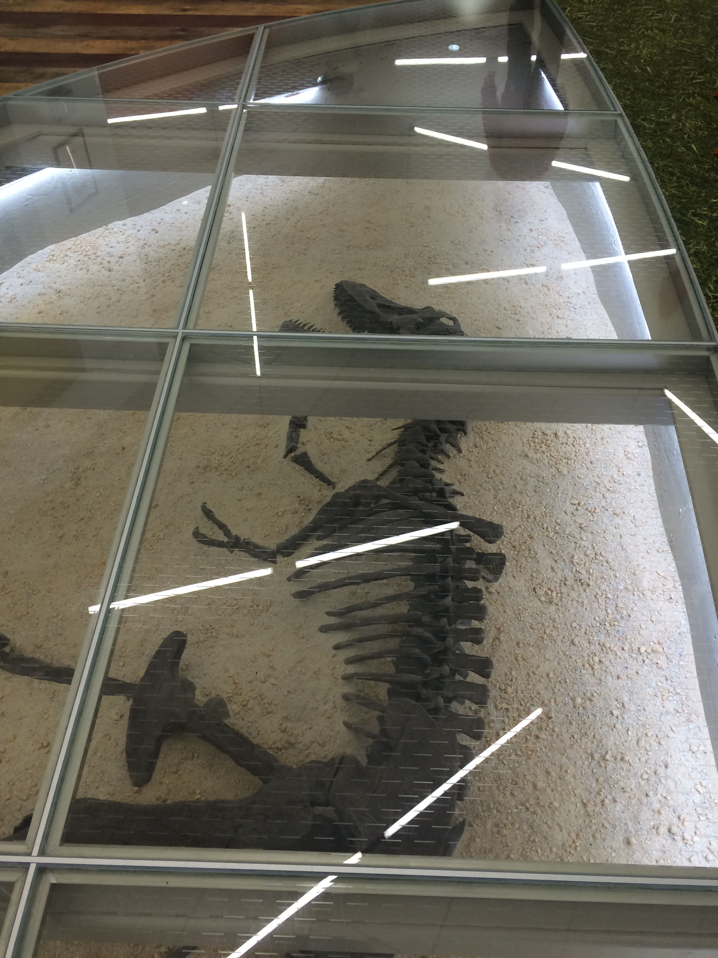 large-glass-floor-tiles