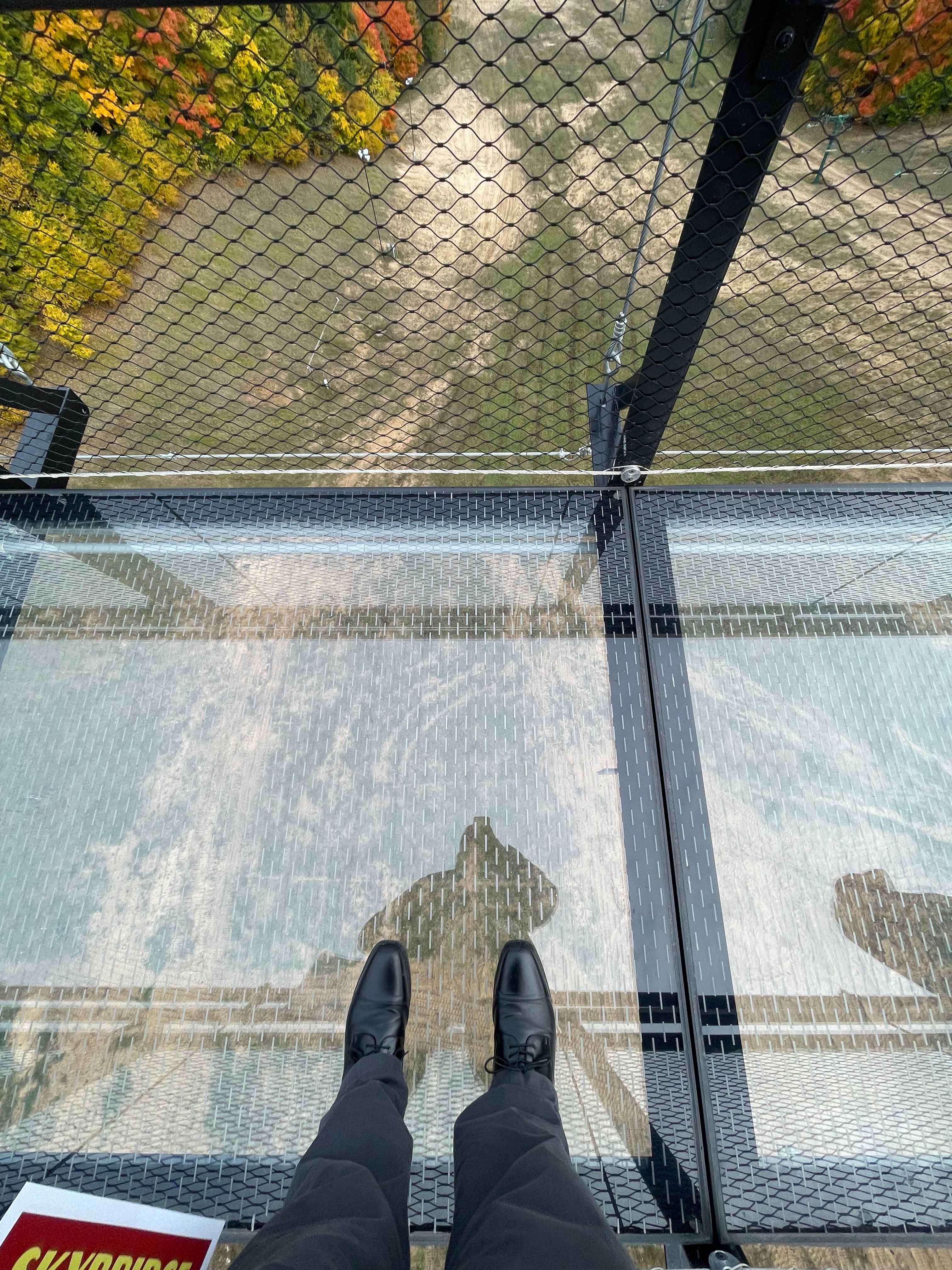 glasswalk-glass-bridge