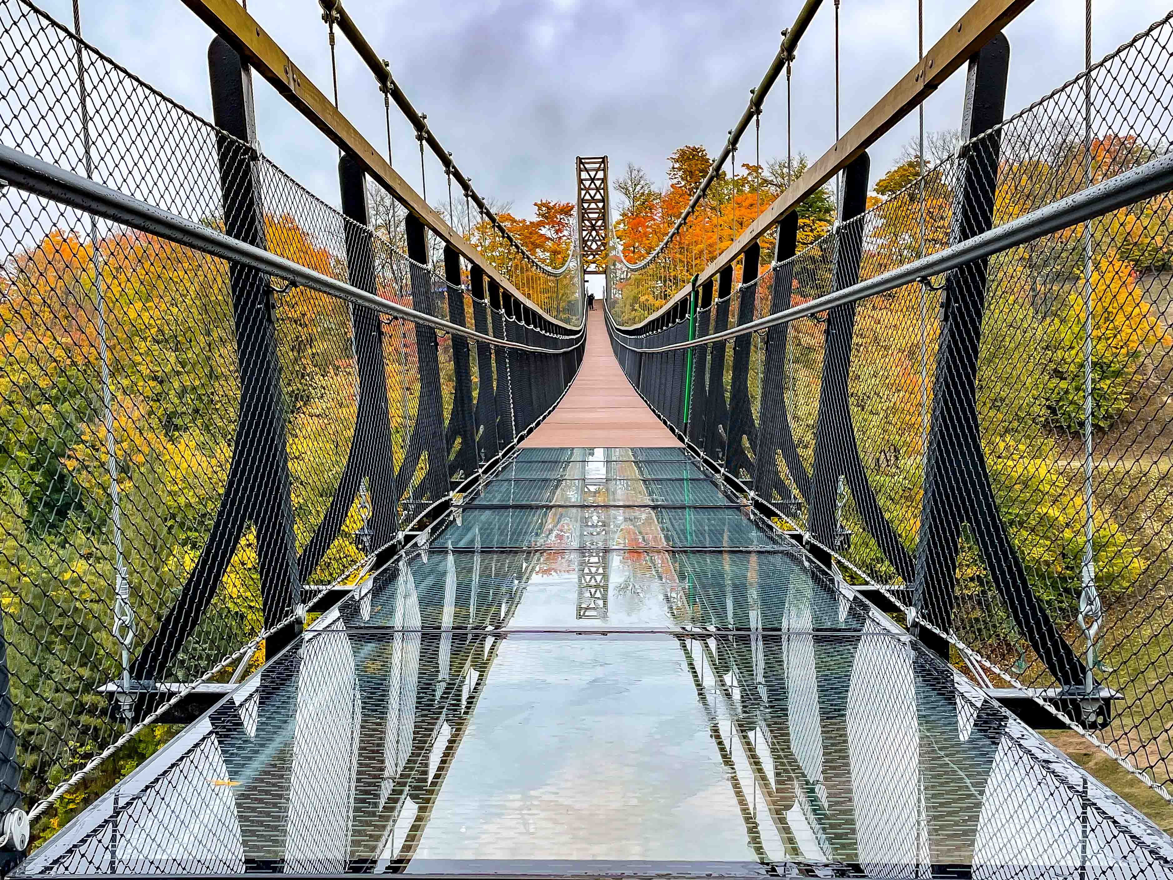 SkyBridge Michigan Glass - Credit Experiential Resources