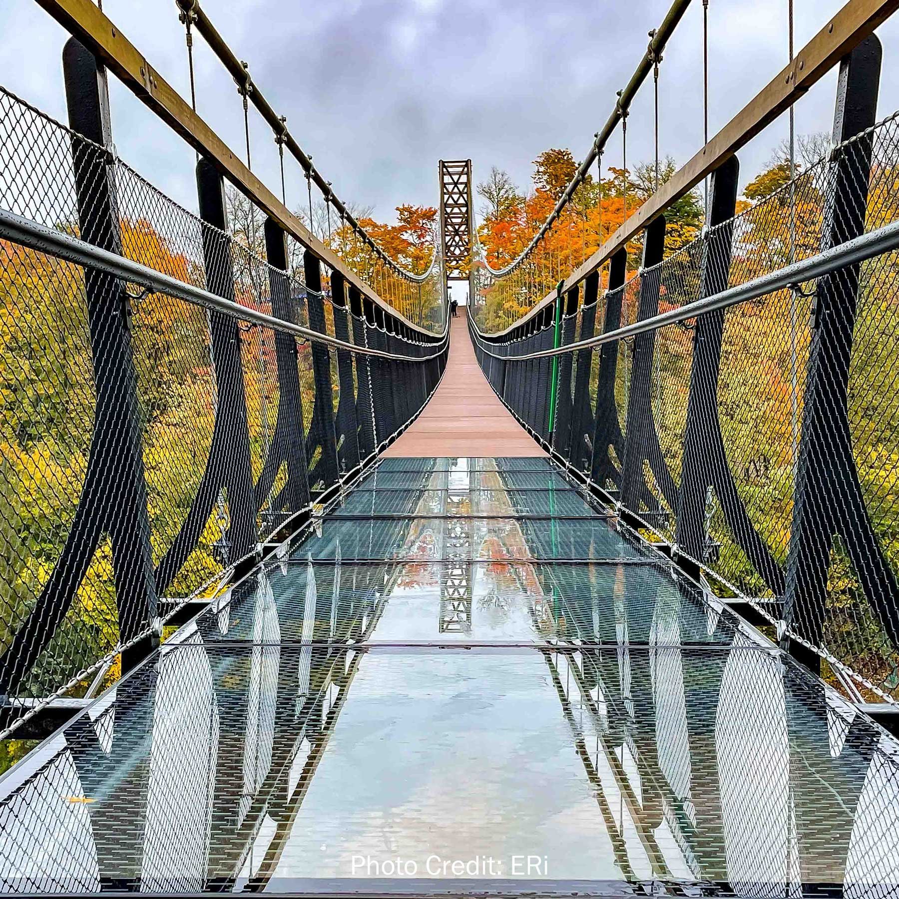 SkyBridge-Michigan-Glass---Credit-Experiential-Resources-(square)